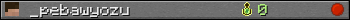 _pebawyozu userbar 350x20
