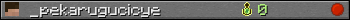_pekarugucicye userbar 350x20