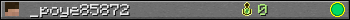 _poye85872 userbar 350x20