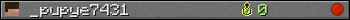 _pupye7431 userbar 350x20
