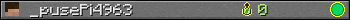 _pusePi4963 userbar 350x20