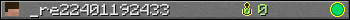 _re22401192433 userbar 350x20