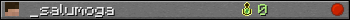 _salumoga userbar 350x20