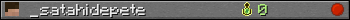 _satahidepete userbar 350x20