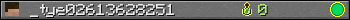 _tye02613628251 userbar 350x20