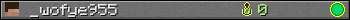 _wofye955 userbar 350x20