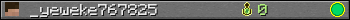 _yeweke767825 userbar 350x20