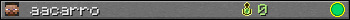 aacarro userbar 350x20