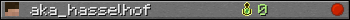 aka_hasselhof userbar 350x20