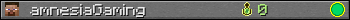 amnesiaGaming userbar 350x20