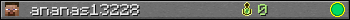 ananas13228 userbar 350x20