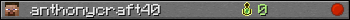 anthonycraft40 userbar 350x20