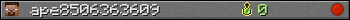 ape8506363609 userbar 350x20