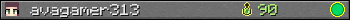 avagamer313 userbar 350x20