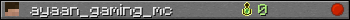 ayaan_gaming_mc userbar 350x20