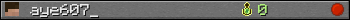 aye607_ userbar 350x20
