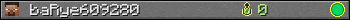 baRye609280 userbar 350x20