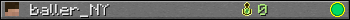 baller_NY userbar 350x20