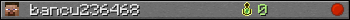 bancu236468 userbar 350x20