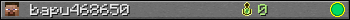 bapu468650 userbar 350x20