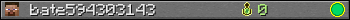 bate594303143 userbar 350x20