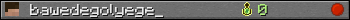 bawedegolyege_ userbar 350x20