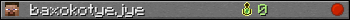 baxokotyejye userbar 350x20