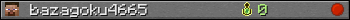 bazagoku4665 userbar 350x20