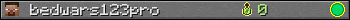 bedwars123pro userbar 350x20