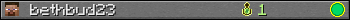 bethbud23 userbar 350x20