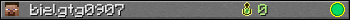 bielgtg0907 userbar 350x20