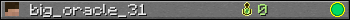 big_oracle_31 userbar 350x20