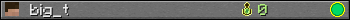 big_t userbar 350x20