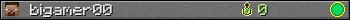 bigamer00 userbar 350x20