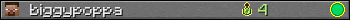 biggypoppa userbar 350x20