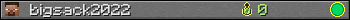 bigsack2022 userbar 350x20