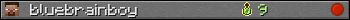 bluebrainboy userbar 350x20