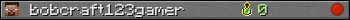 bobcraft123gamer userbar 350x20