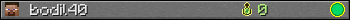 bodil40 userbar 350x20