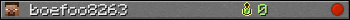 boefoo8263 userbar 350x20