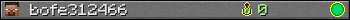 bofe312466 userbar 350x20