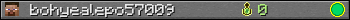 bohyealepo57009 userbar 350x20