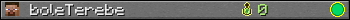 boleTerebe userbar 350x20