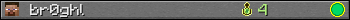 br0ghl userbar 350x20