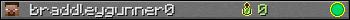 braddleygunner0 userbar 350x20