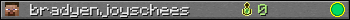 bradyenjoyschees userbar 350x20