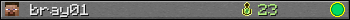 bray01 userbar 350x20