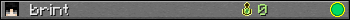 brint userbar 350x20