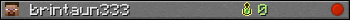 brintaun333 userbar 350x20