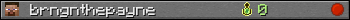 brngnthepayne userbar 350x20